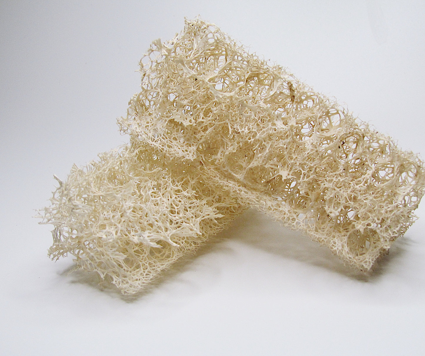 Luffa Spülschwamm, 2 Stk.