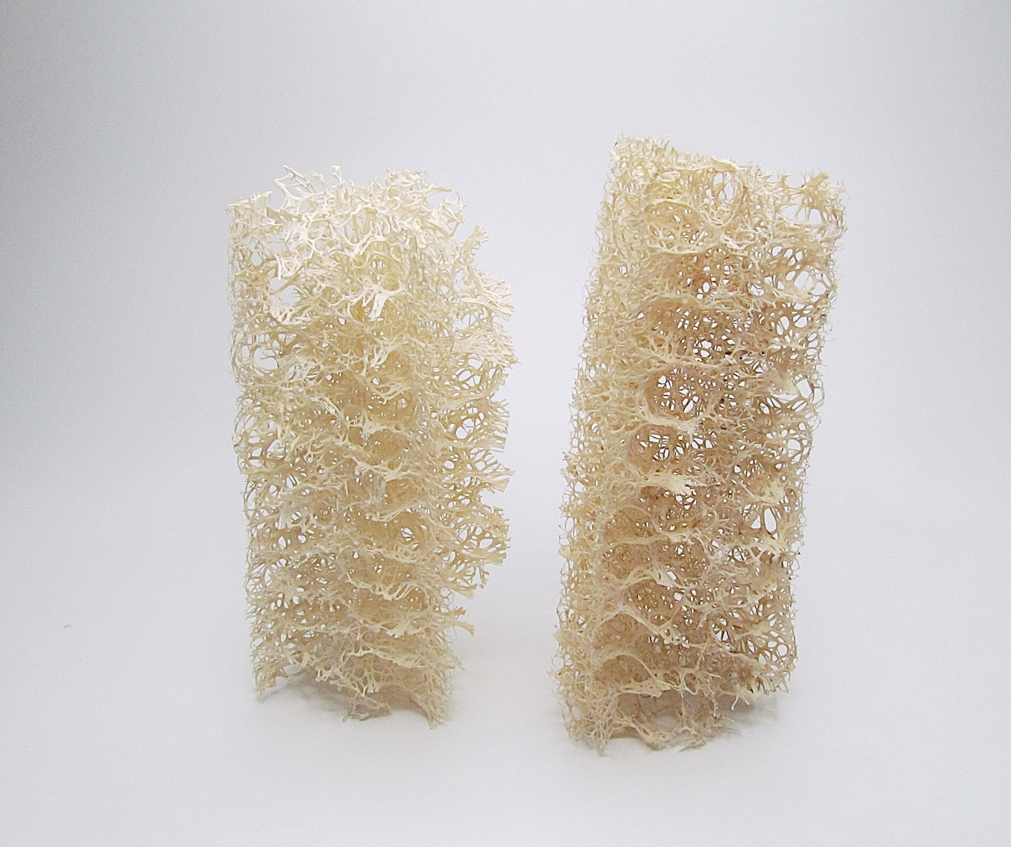 Luffa Spülschwamm, 2 Stk.