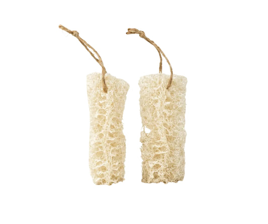 Luffa Spülschwamm, 2 Stk. - natürlicher Küchenschwamm aus Luffa für Geschirrreinigung und natürlichen Glanz