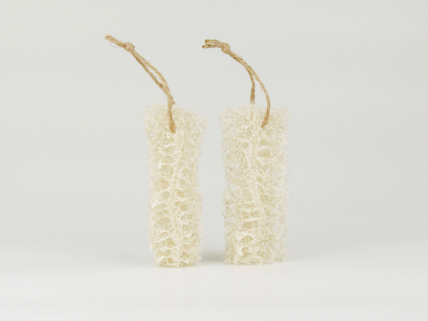 Luffa Spülschwamm, 2 Stk. - natürlicher Küchenschwamm aus Luffa für Geschirrreinigung und natürlichen Glanz