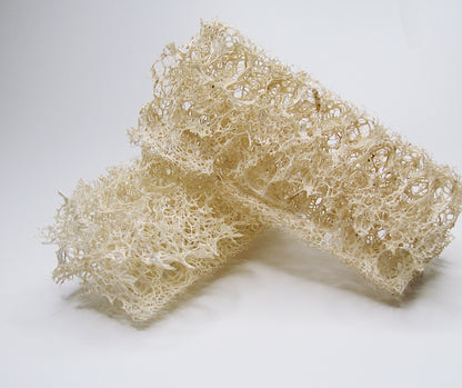 Luffa Spülschwamm, 2 Stk.